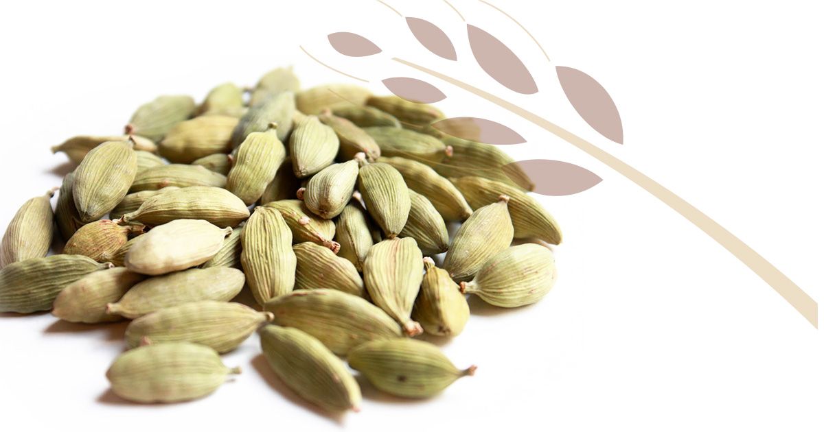 cardamomo