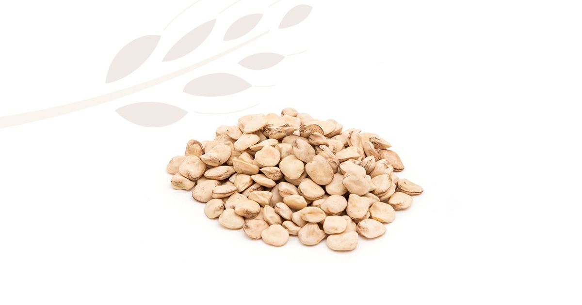 cicerchia