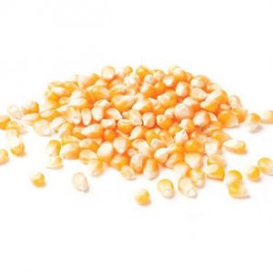 Mais Per Popcorn
