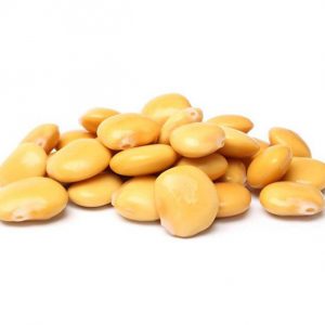 Lupini