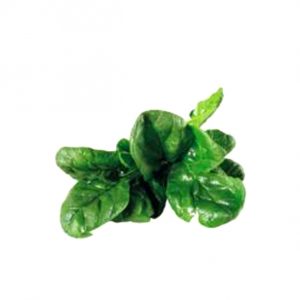 Spinaci Disidratati In Polvere