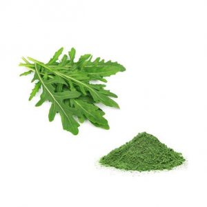 Rucola Disidratata In Polvere