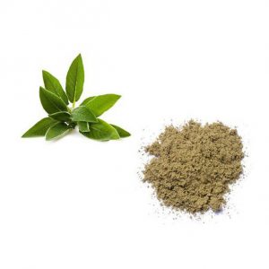 Salvia Disidratata In Polvere