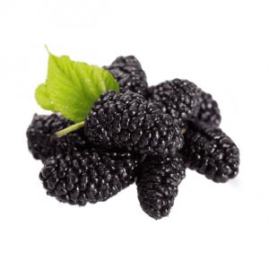 Mure din Dud Negru