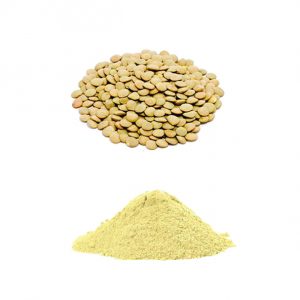 Farina Di Lenticchie Verdi