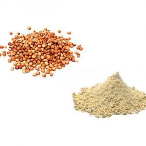 Farina Di Sorgo Integrale